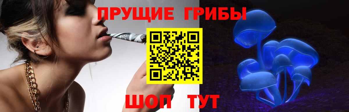 Галлюциногенные грибы GOLDEN TEACHER  Вход с VPN  Серов  Псилоцибиновые грибы Psilocybine cubensis 