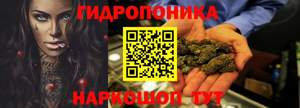 Каннабис сатива Серов